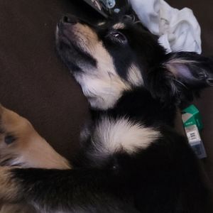 Just kiddin she my baby!!!